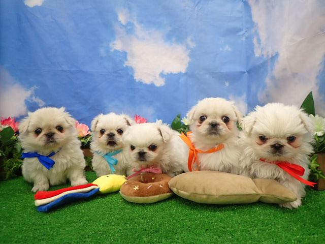 赤ちゃん写真3-3