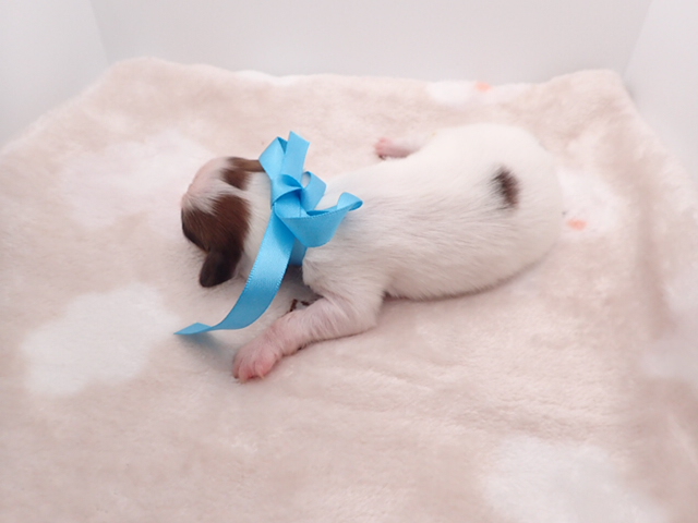 赤ちゃん写真1-3