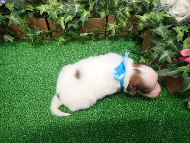 赤ちゃん写真2-3