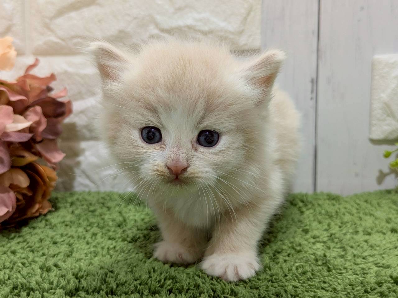 赤ちゃん写真2-1