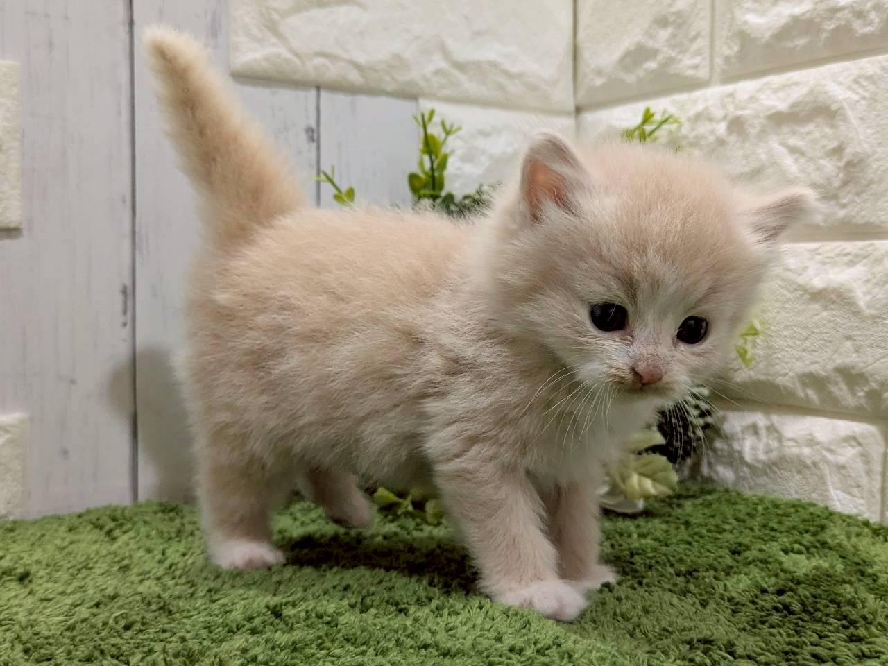 赤ちゃん写真2-2