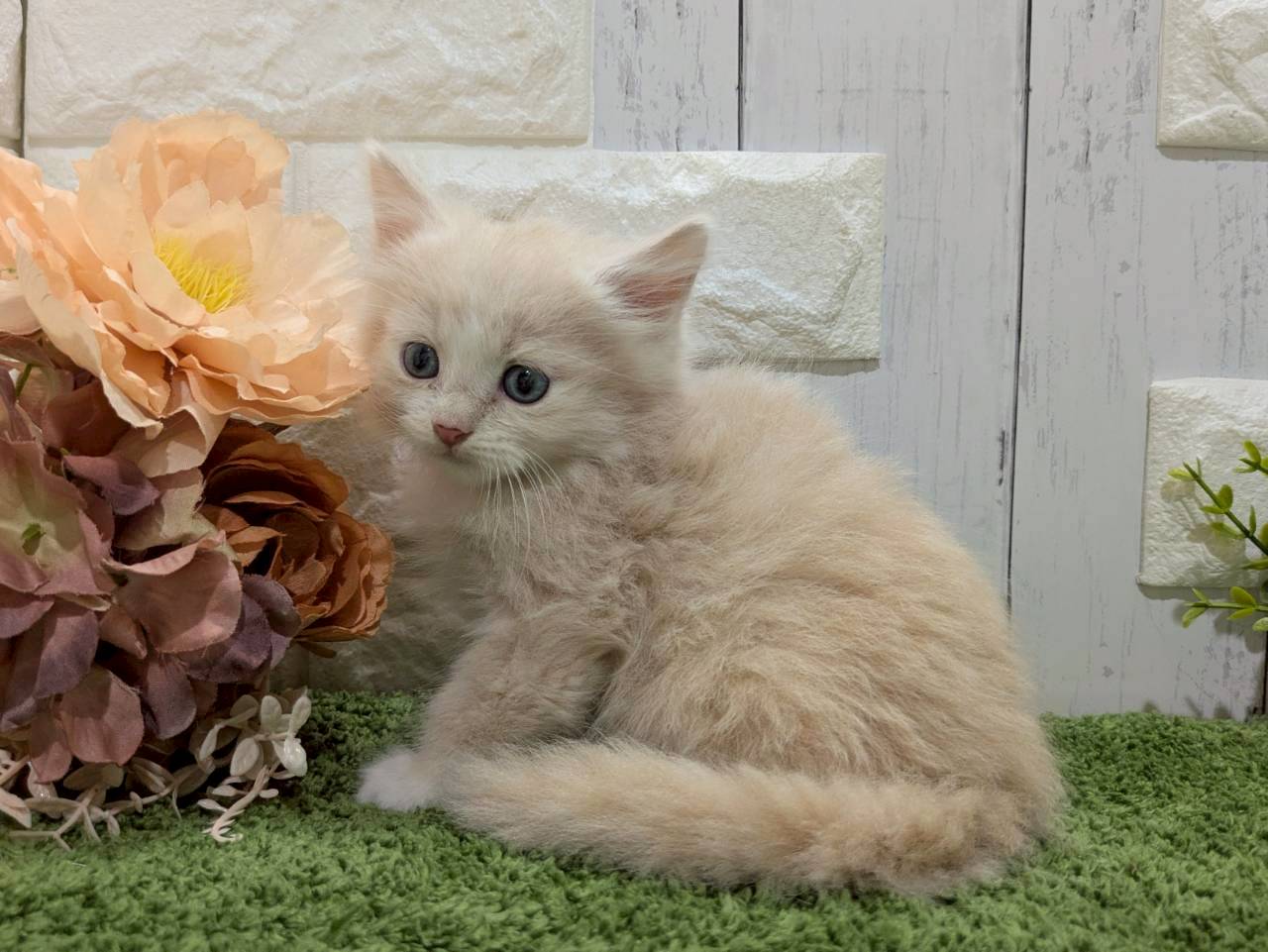 赤ちゃん写真3-2