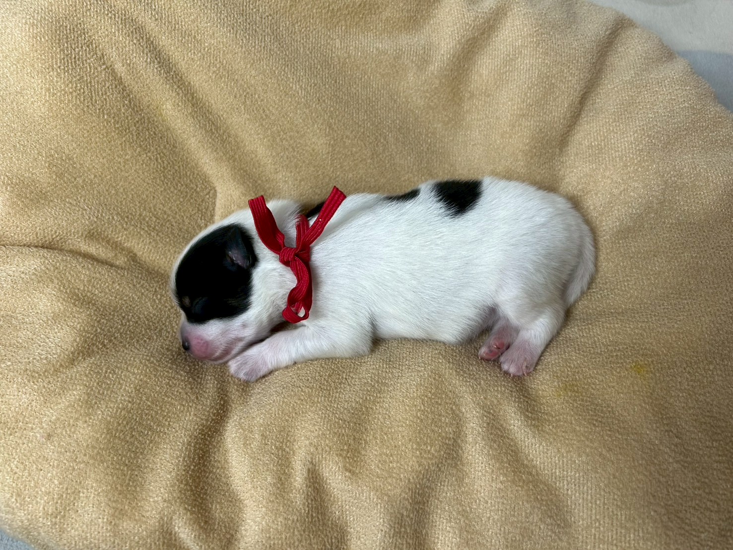 赤ちゃん写真1-2