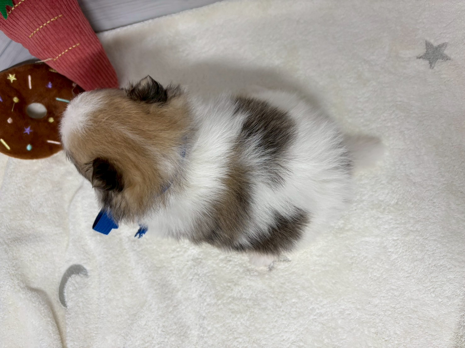 赤ちゃん写真2-3