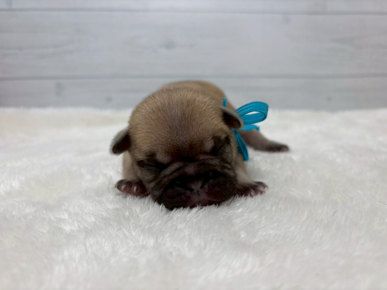 赤ちゃん写真1-1