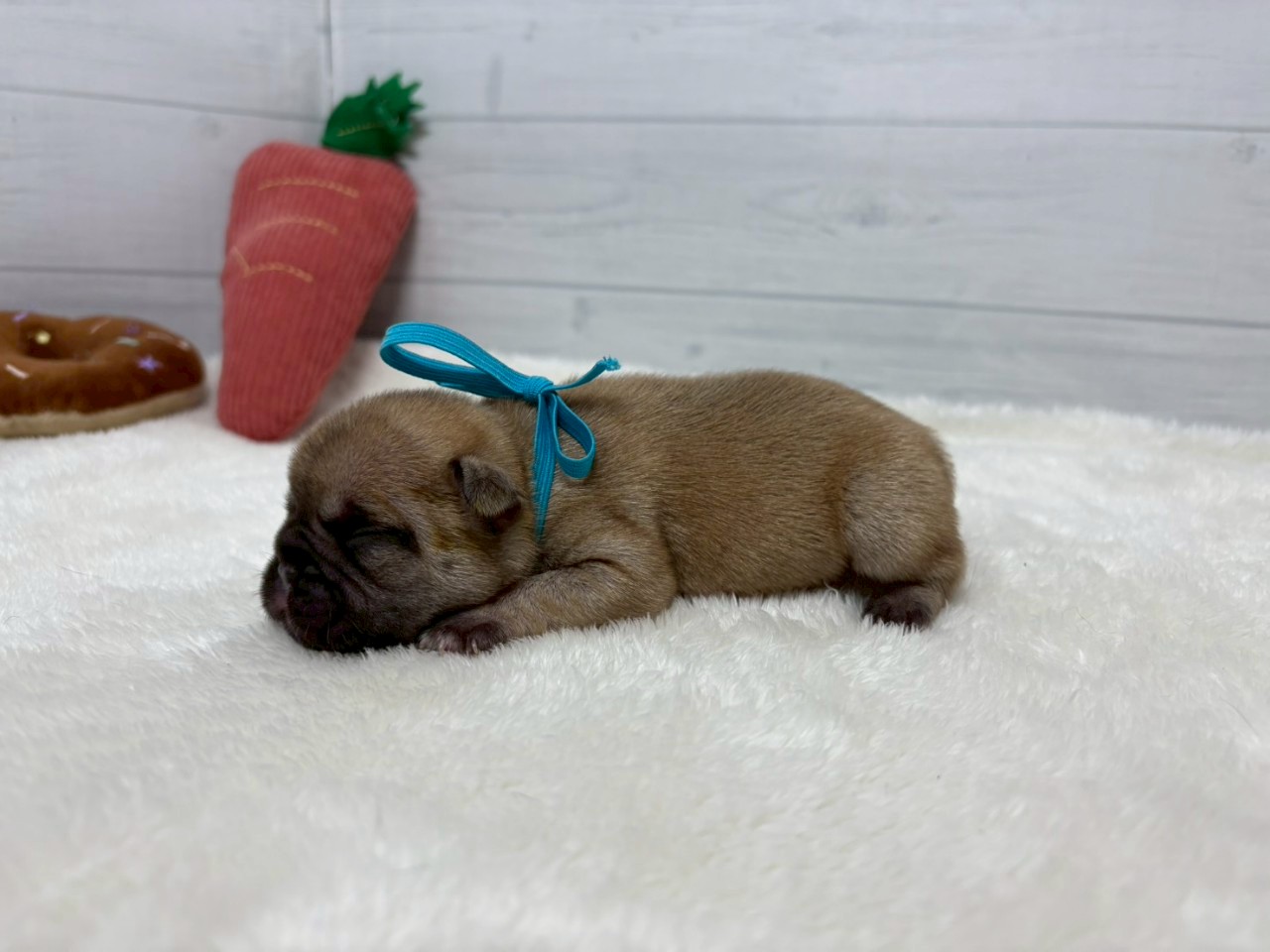 赤ちゃん写真1-2