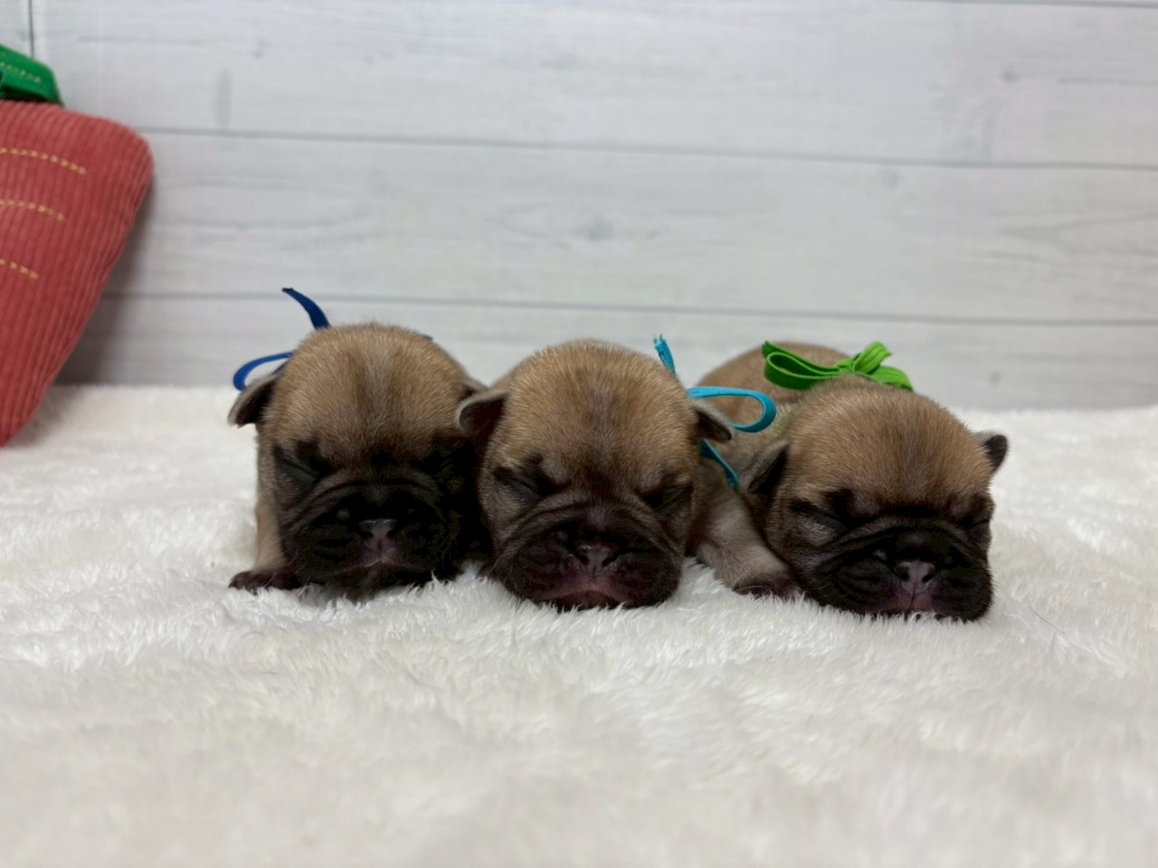 赤ちゃん写真1-3