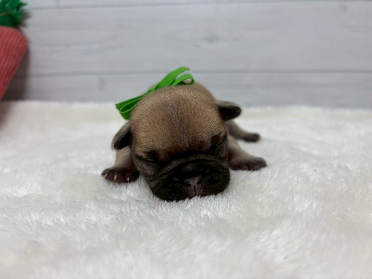 赤ちゃん写真1-1