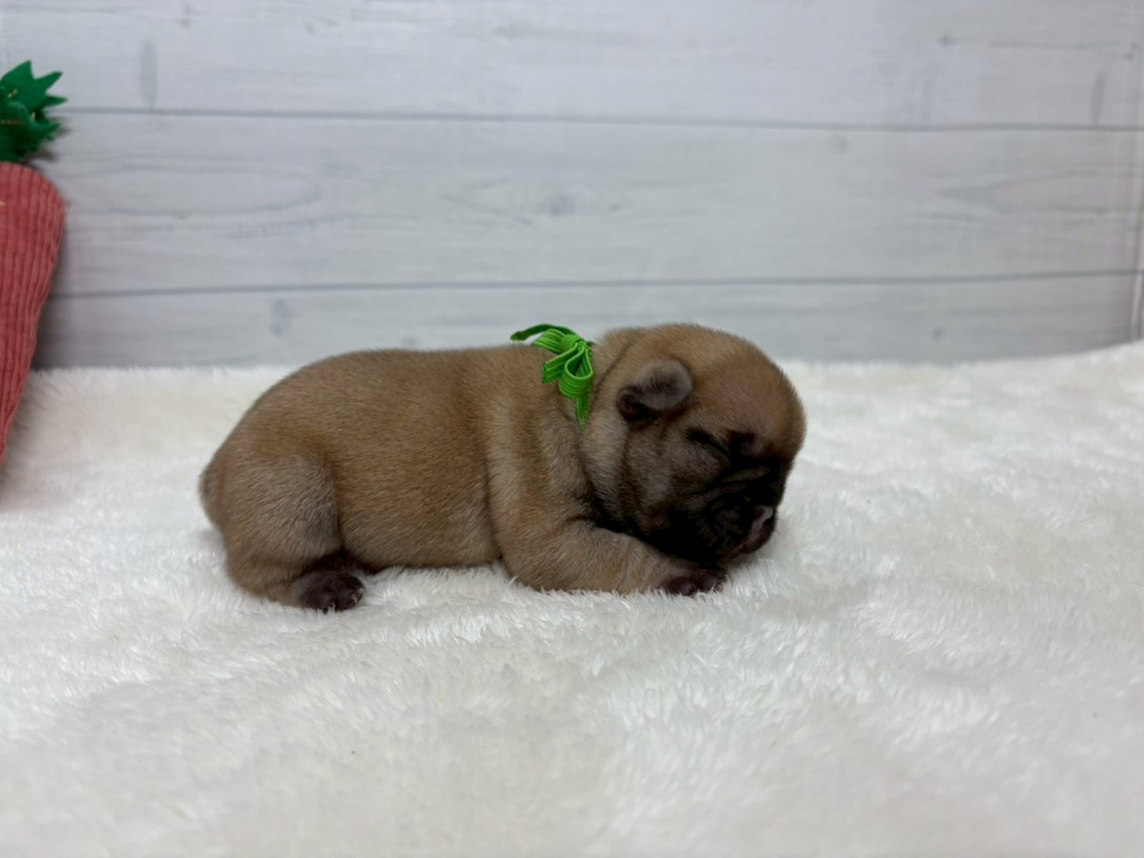 赤ちゃん写真1-2