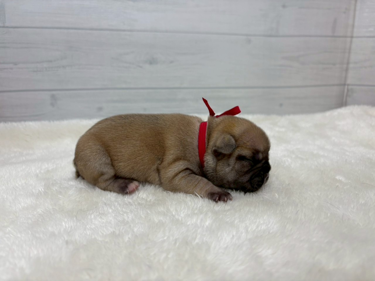 赤ちゃん写真1-2