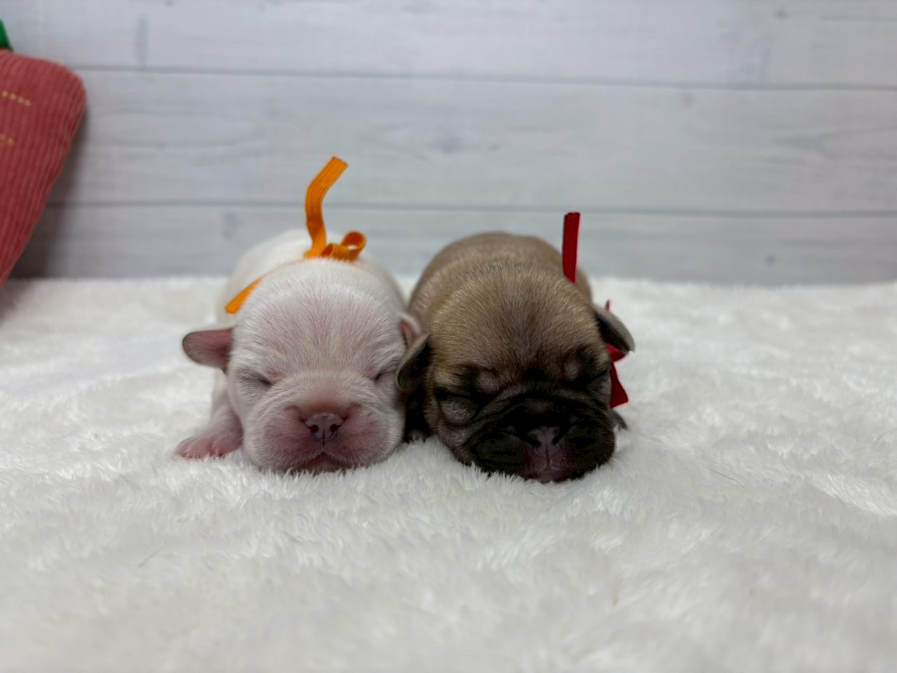赤ちゃん写真1-3