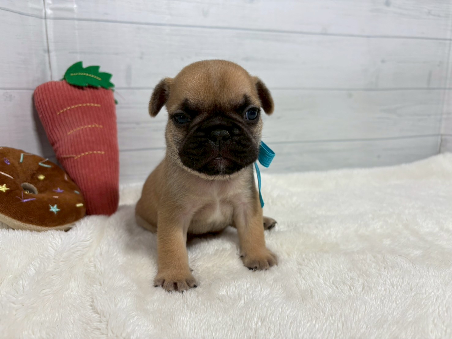 赤ちゃん写真2-1