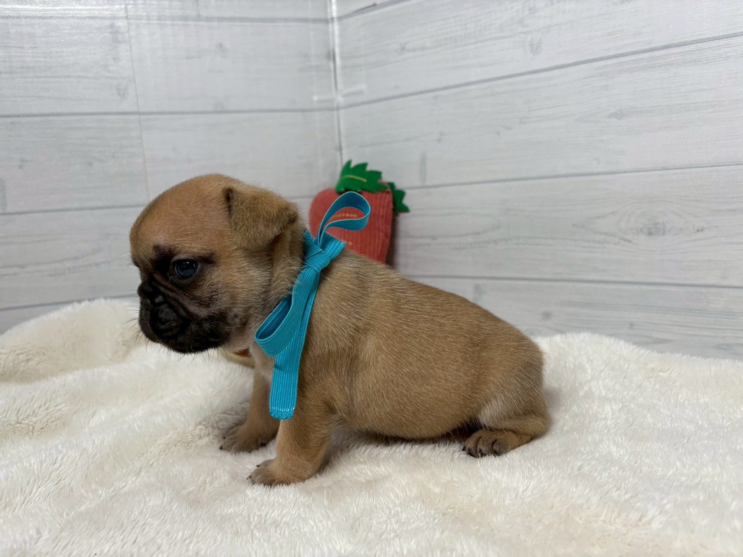 赤ちゃん写真2-2