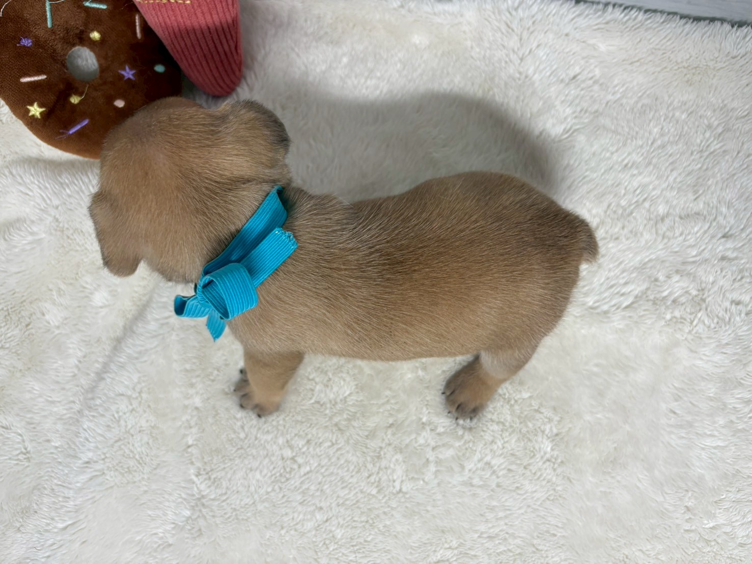 赤ちゃん写真2-3