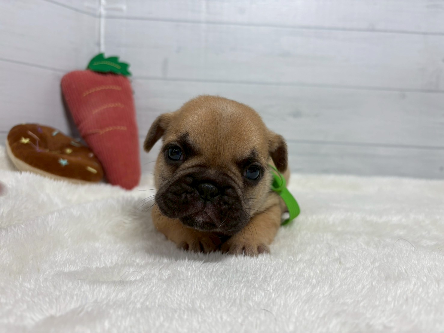 赤ちゃん写真2-1