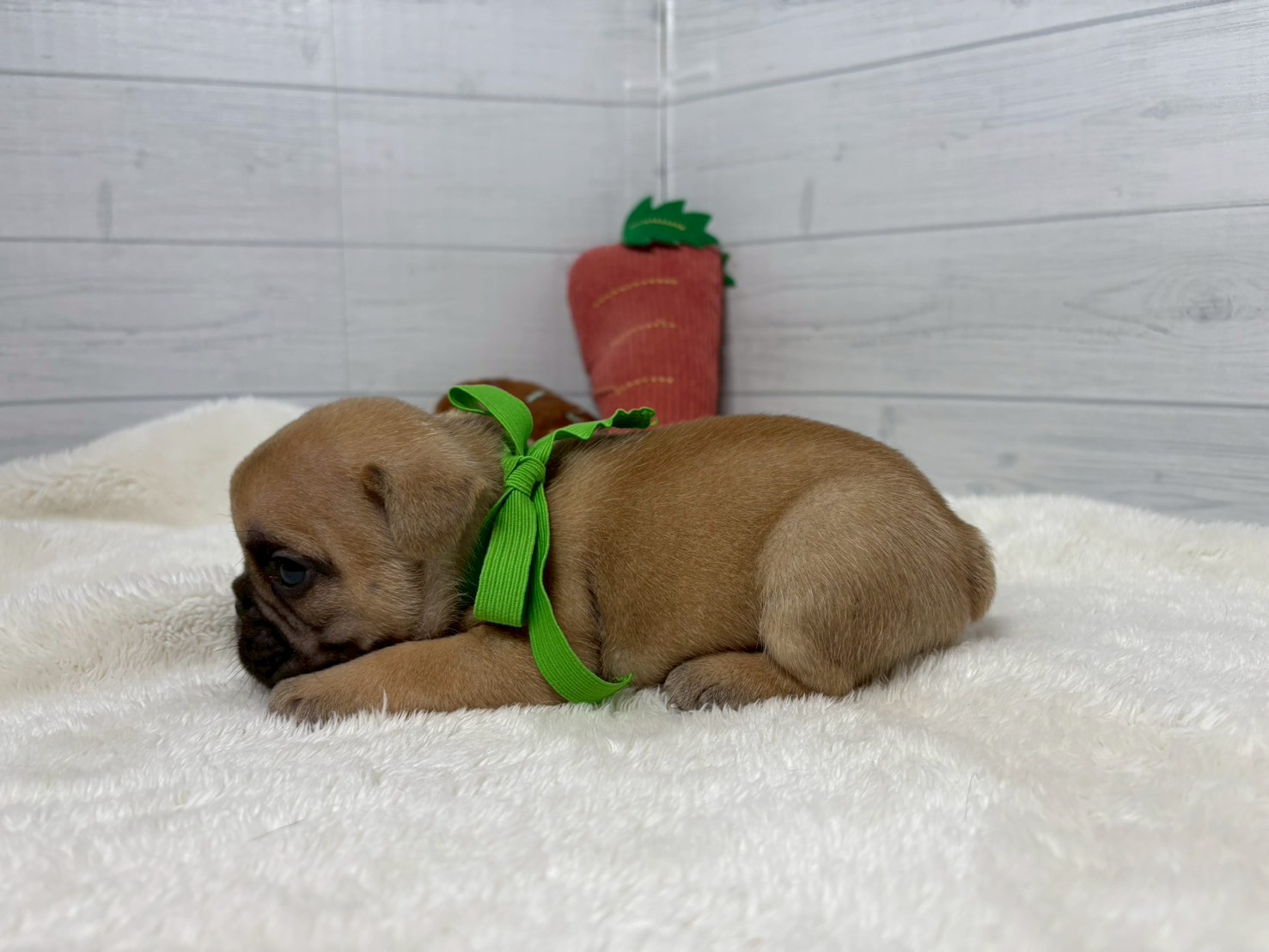 赤ちゃん写真2-2
