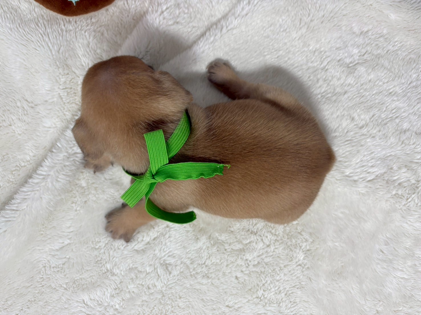 赤ちゃん写真2-3