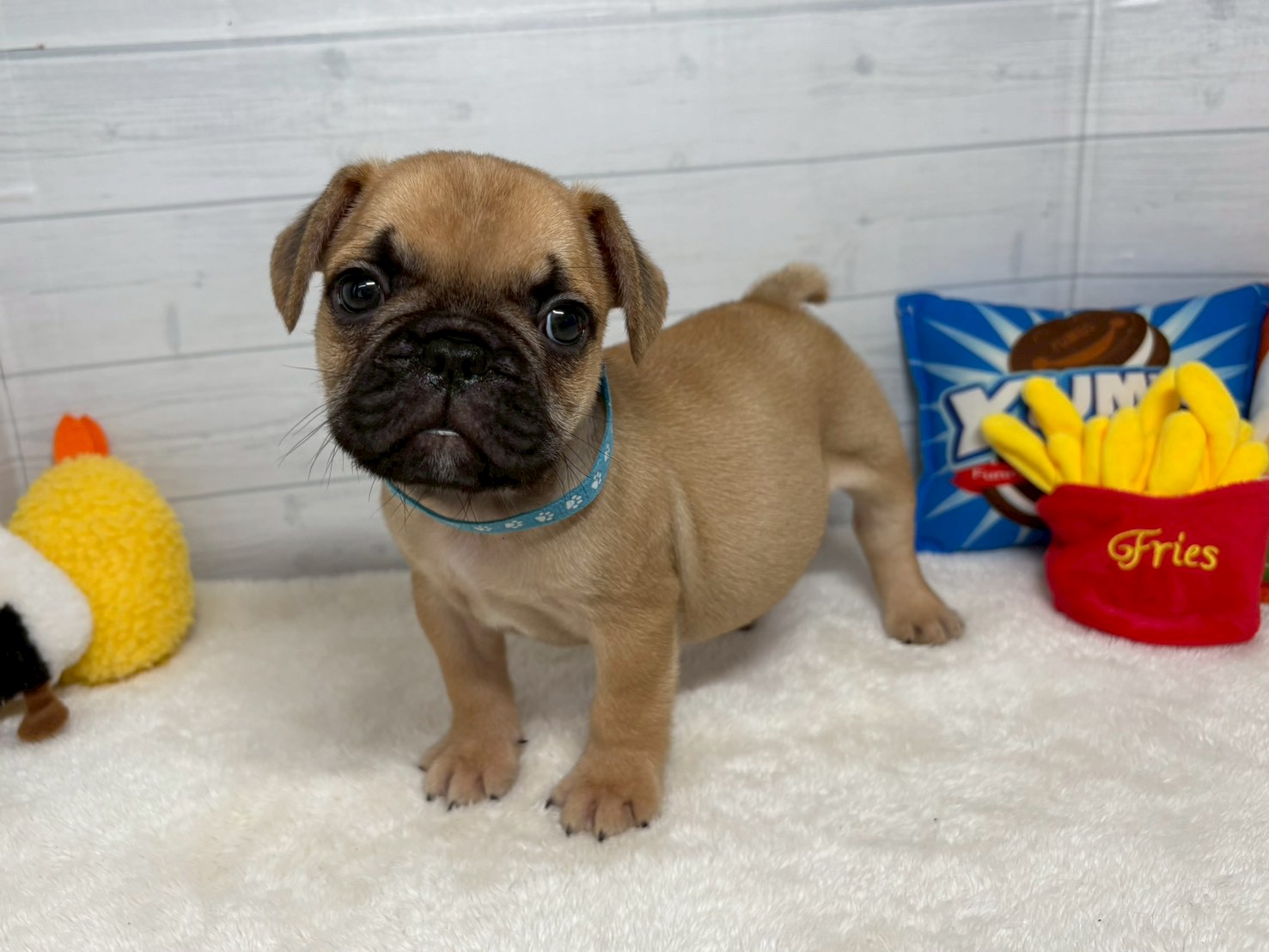 赤ちゃん写真3-1