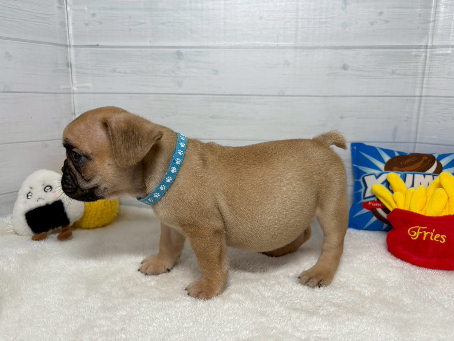 赤ちゃん写真3-2