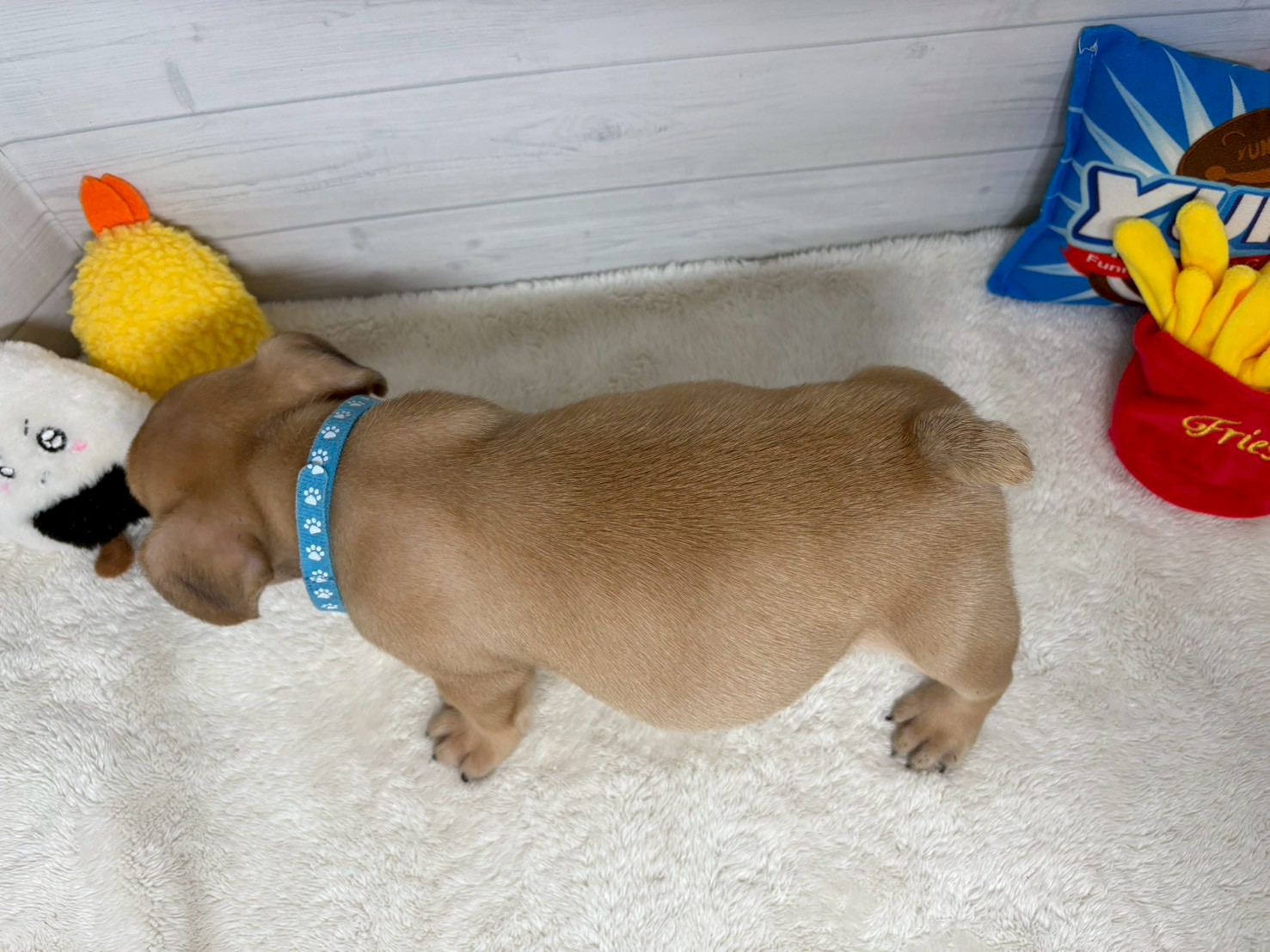 赤ちゃん写真3-3