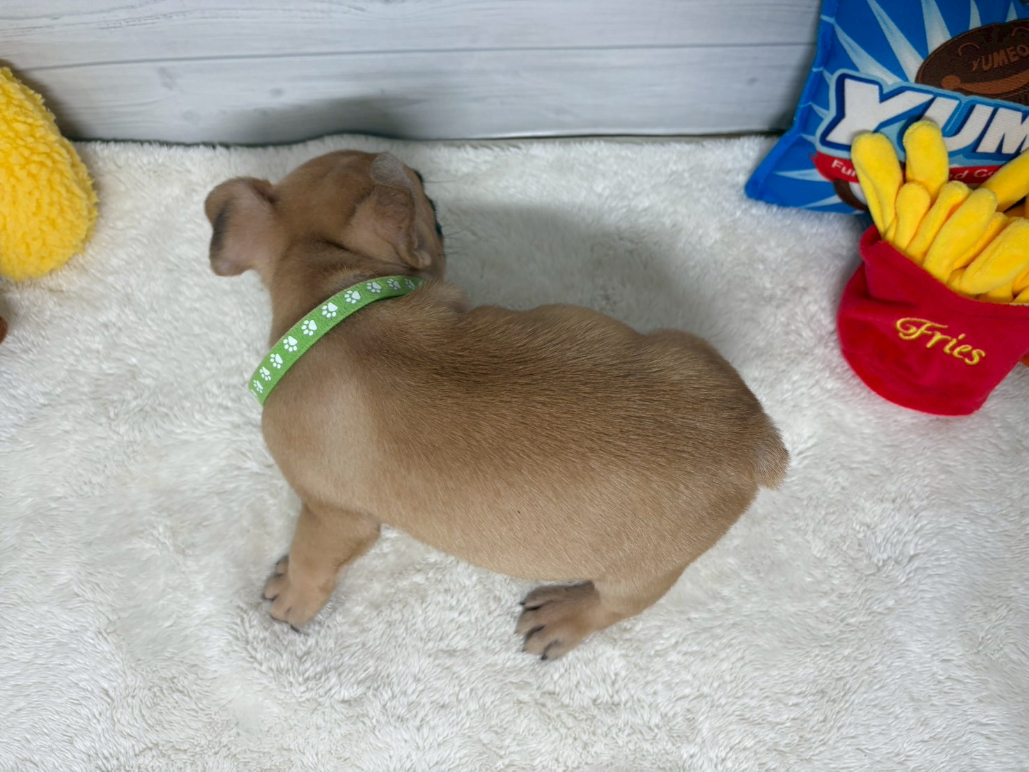 赤ちゃん写真3-3