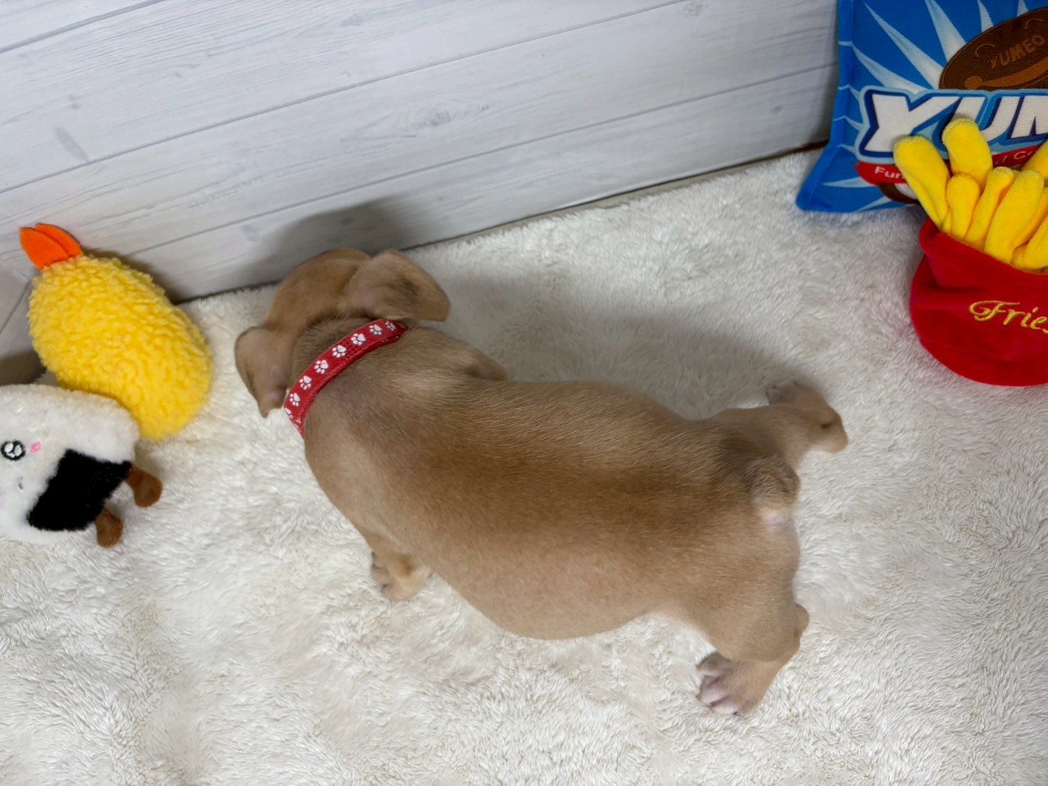 赤ちゃん写真3-3