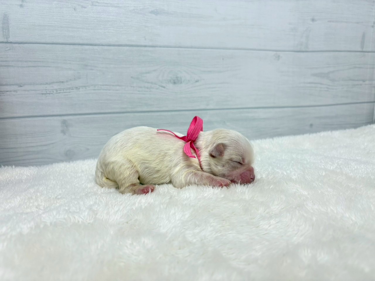 赤ちゃん写真1-2