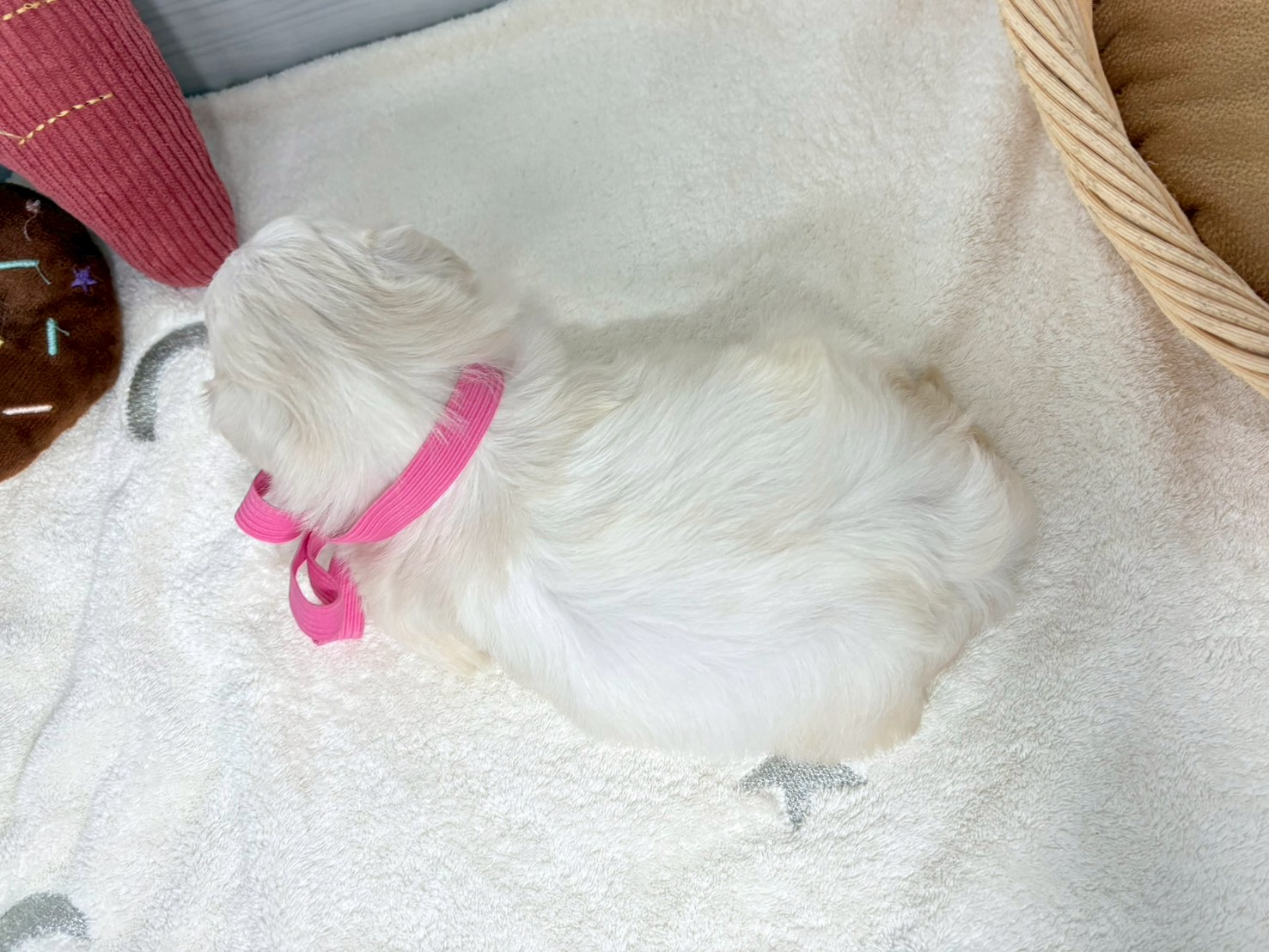 赤ちゃん写真2-3