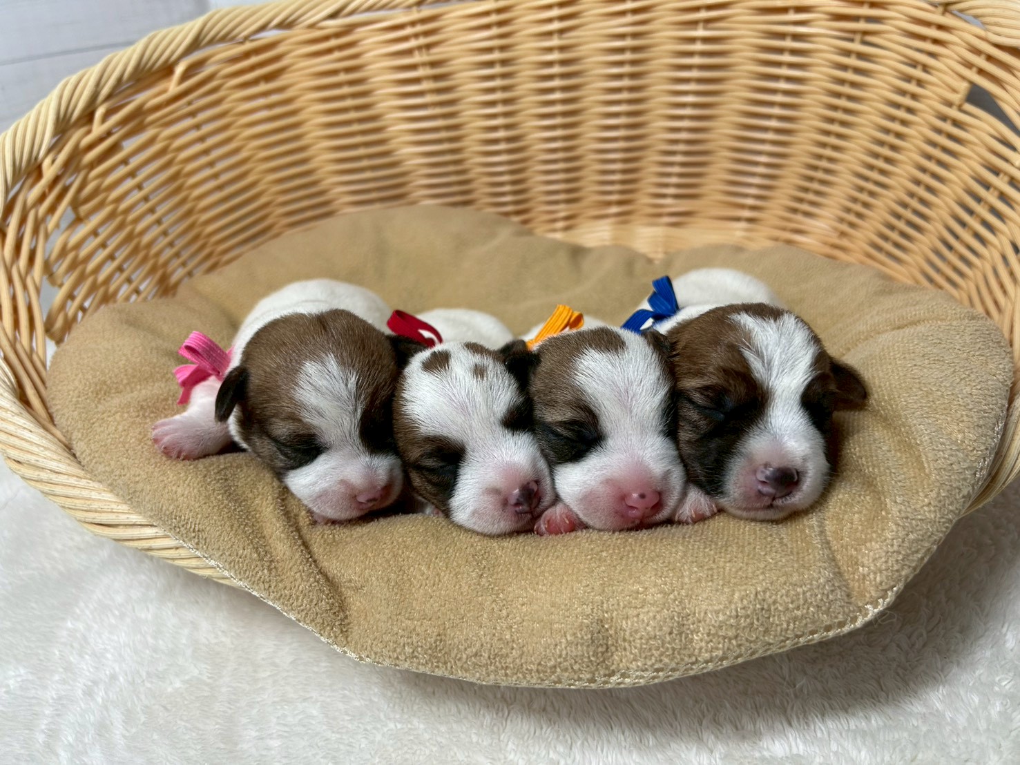 赤ちゃん写真1-3