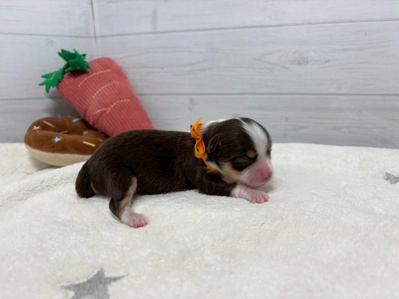 赤ちゃん写真1-2