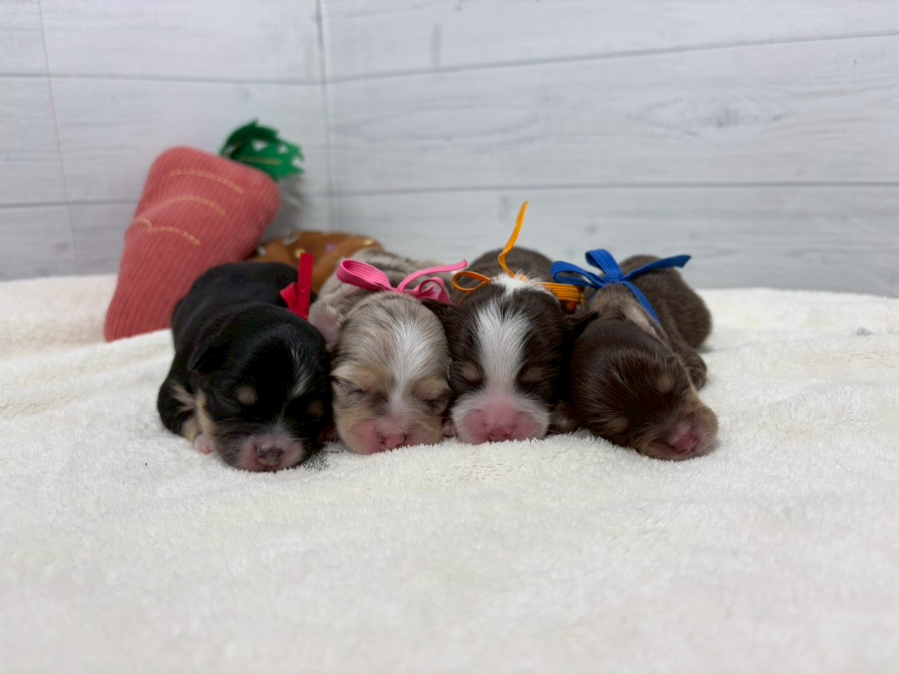 赤ちゃん写真1-3