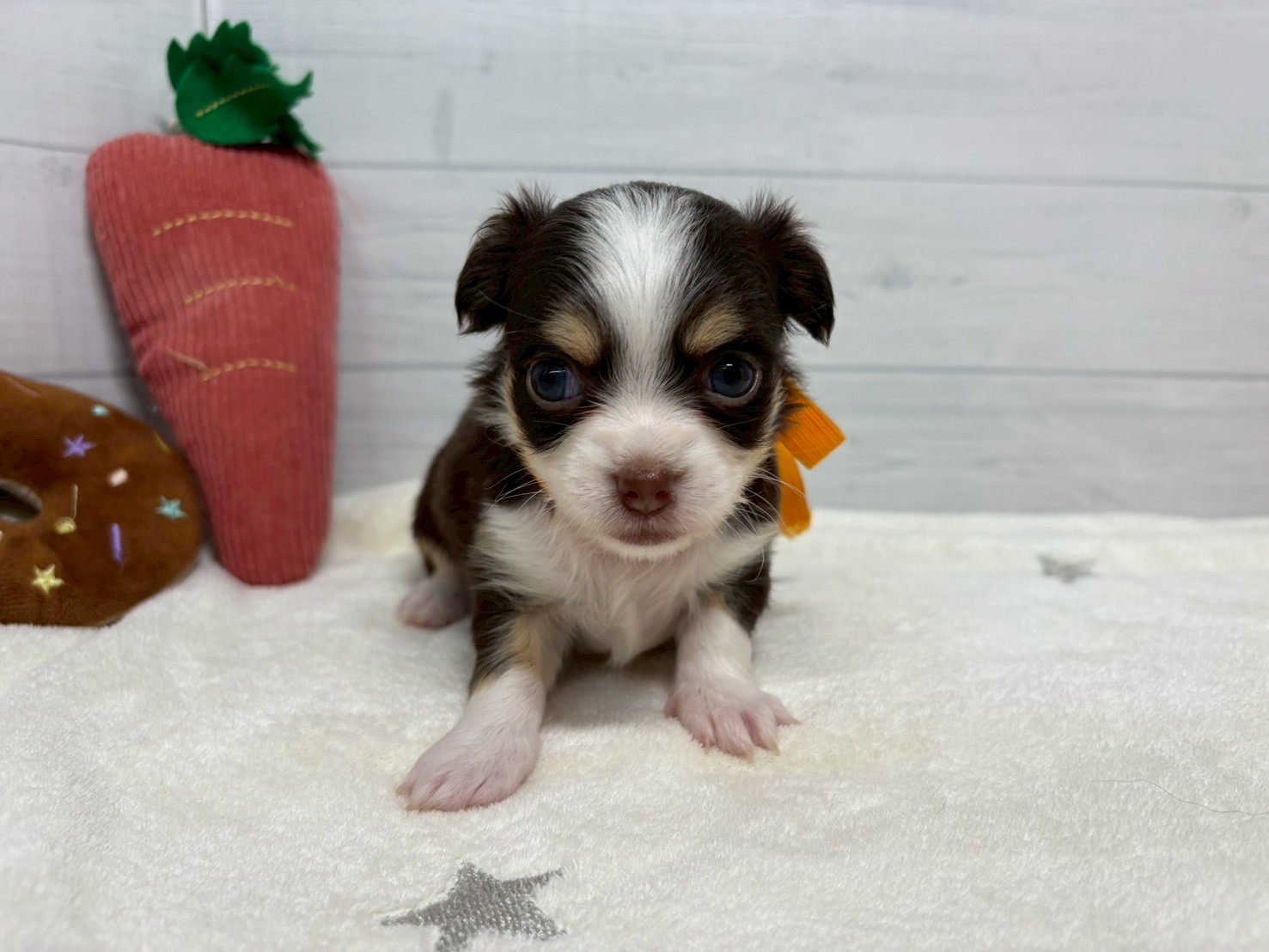 赤ちゃん写真2-1