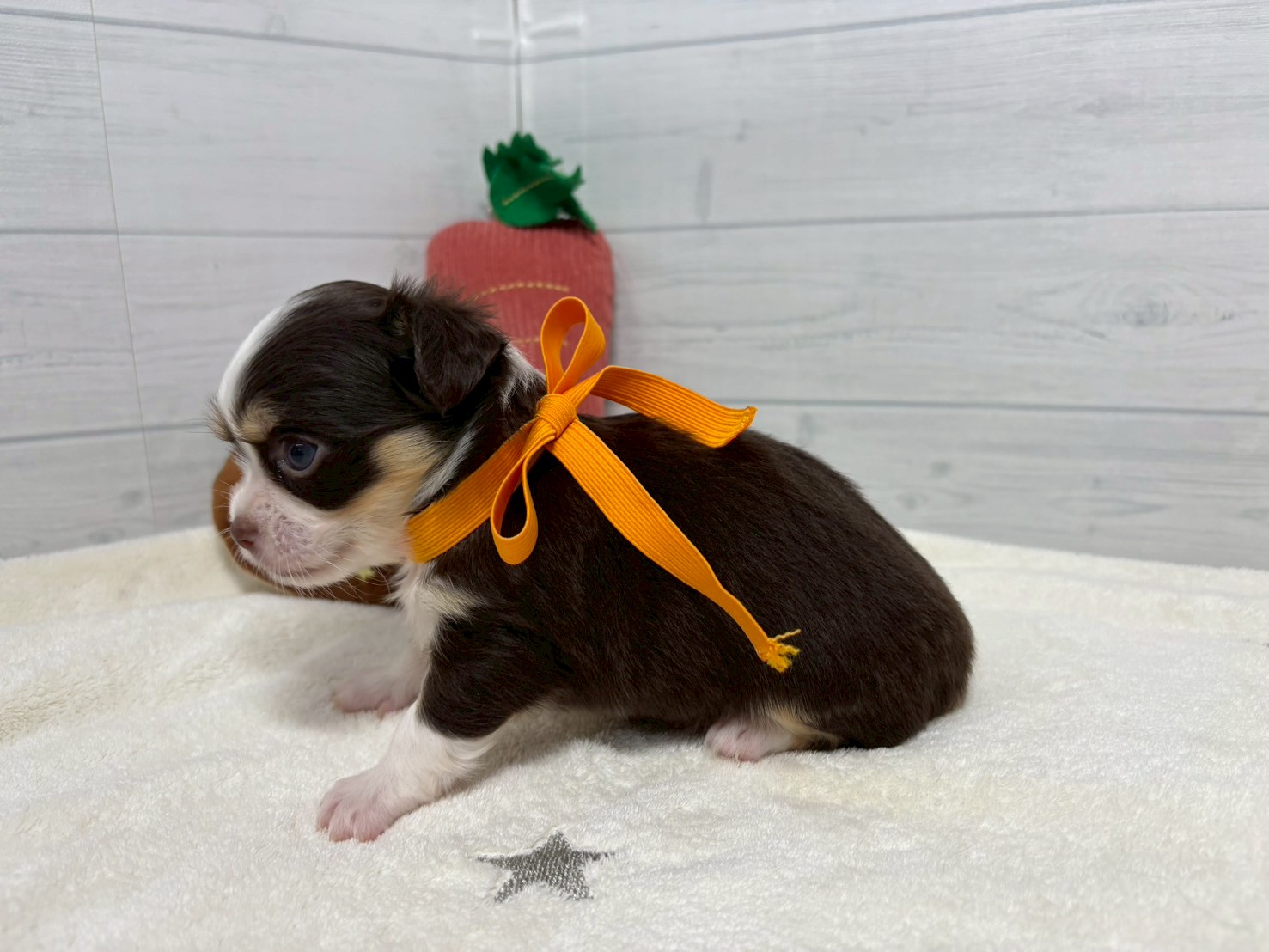 赤ちゃん写真2-2