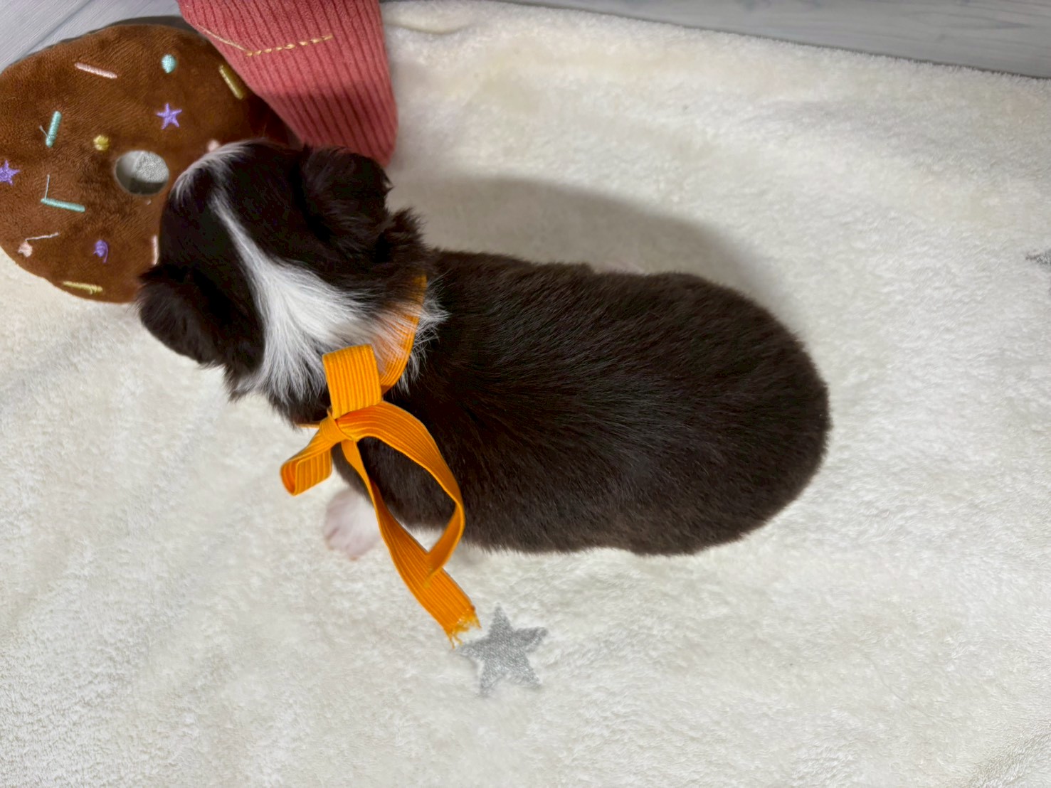 赤ちゃん写真2-3