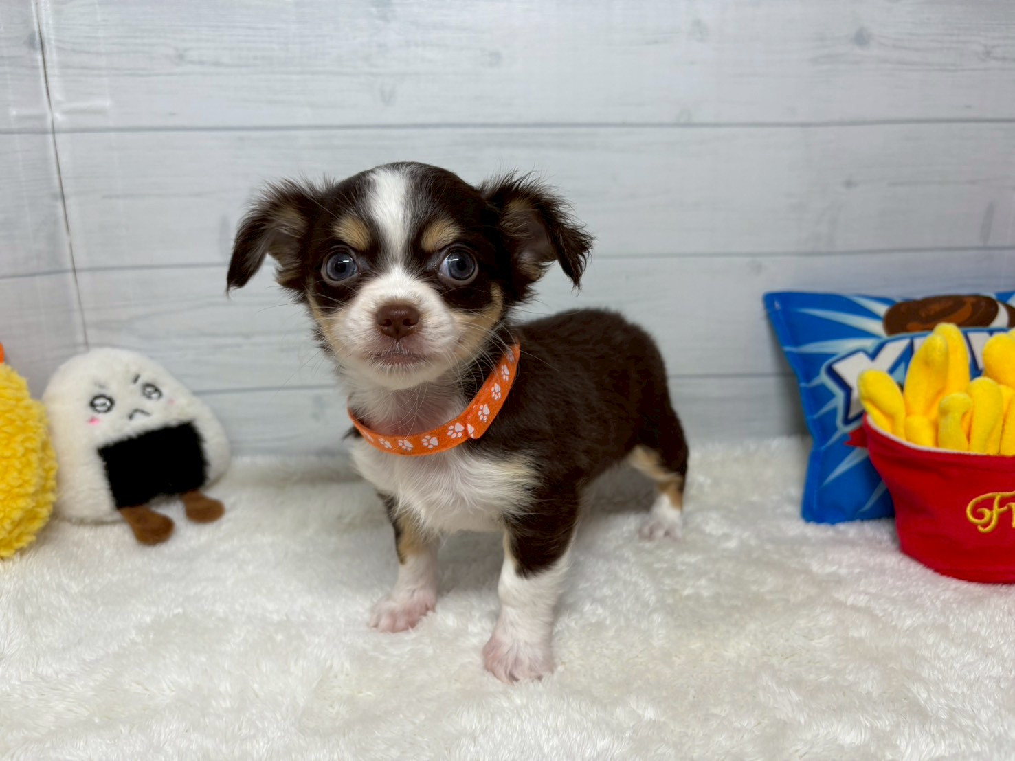 赤ちゃん写真3-1