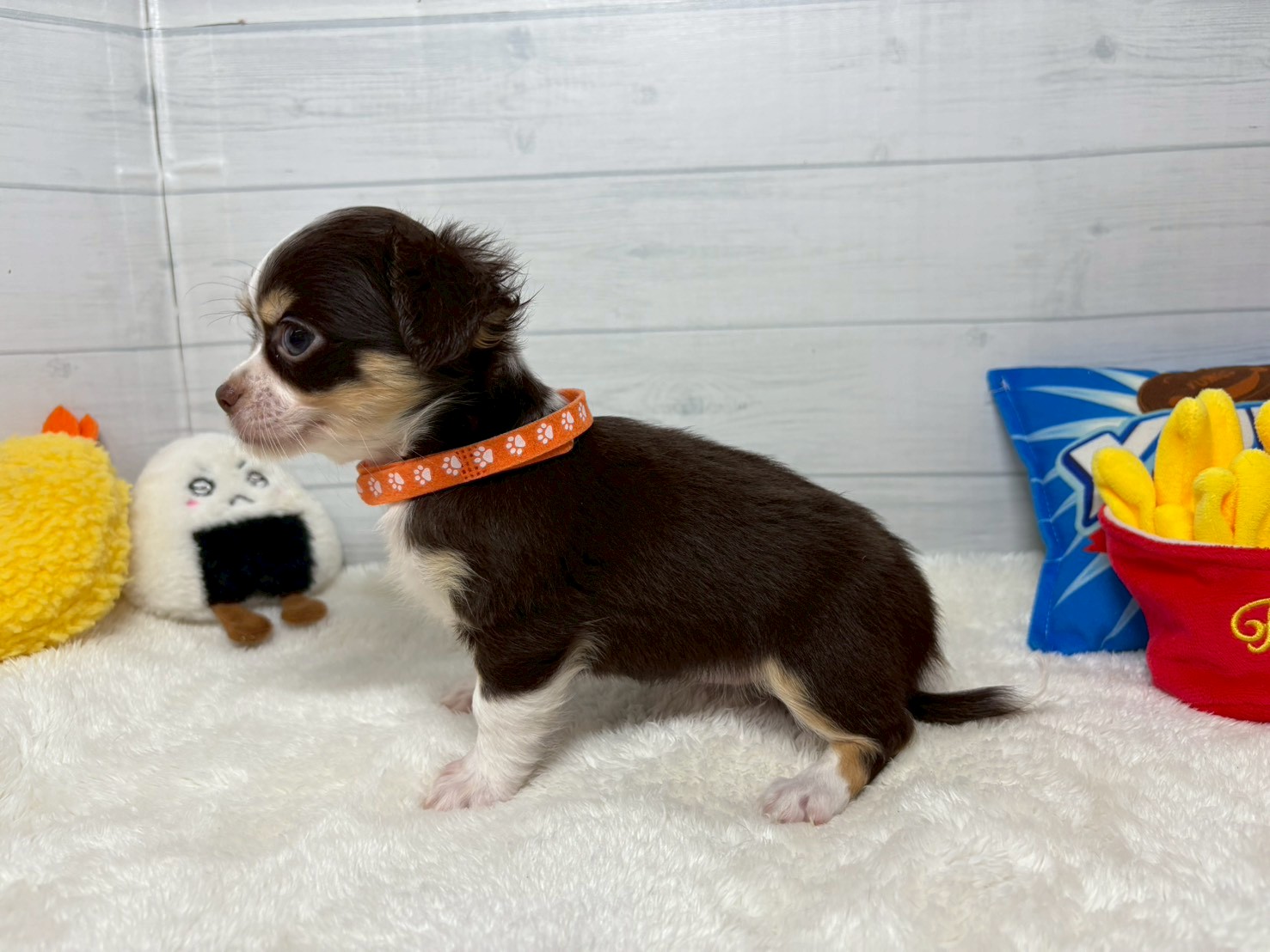 赤ちゃん写真3-2