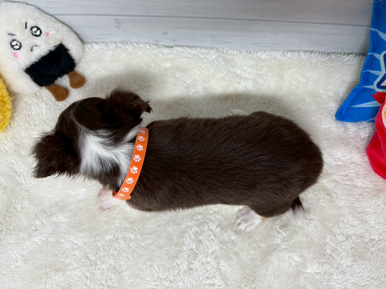 赤ちゃん写真3-3