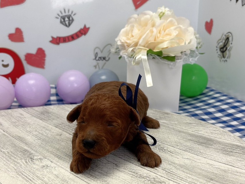 赤ちゃん写真1-1