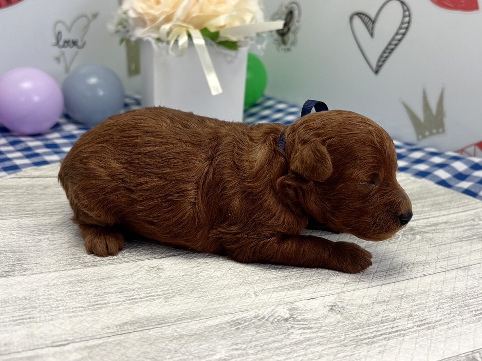 赤ちゃん写真1-2