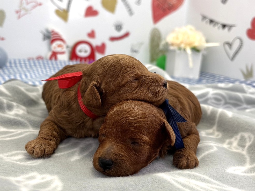 赤ちゃん写真1-3