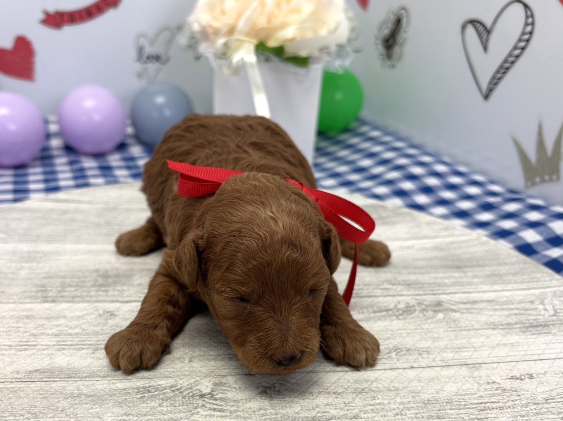 赤ちゃん写真1-1