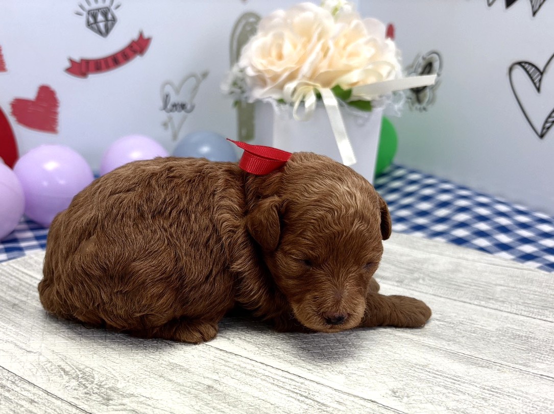 赤ちゃん写真1-2