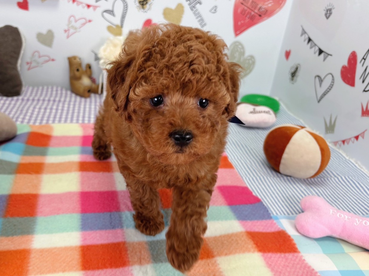 赤ちゃん写真2-1