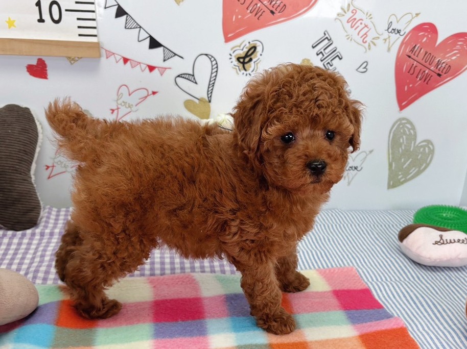 赤ちゃん写真2-2