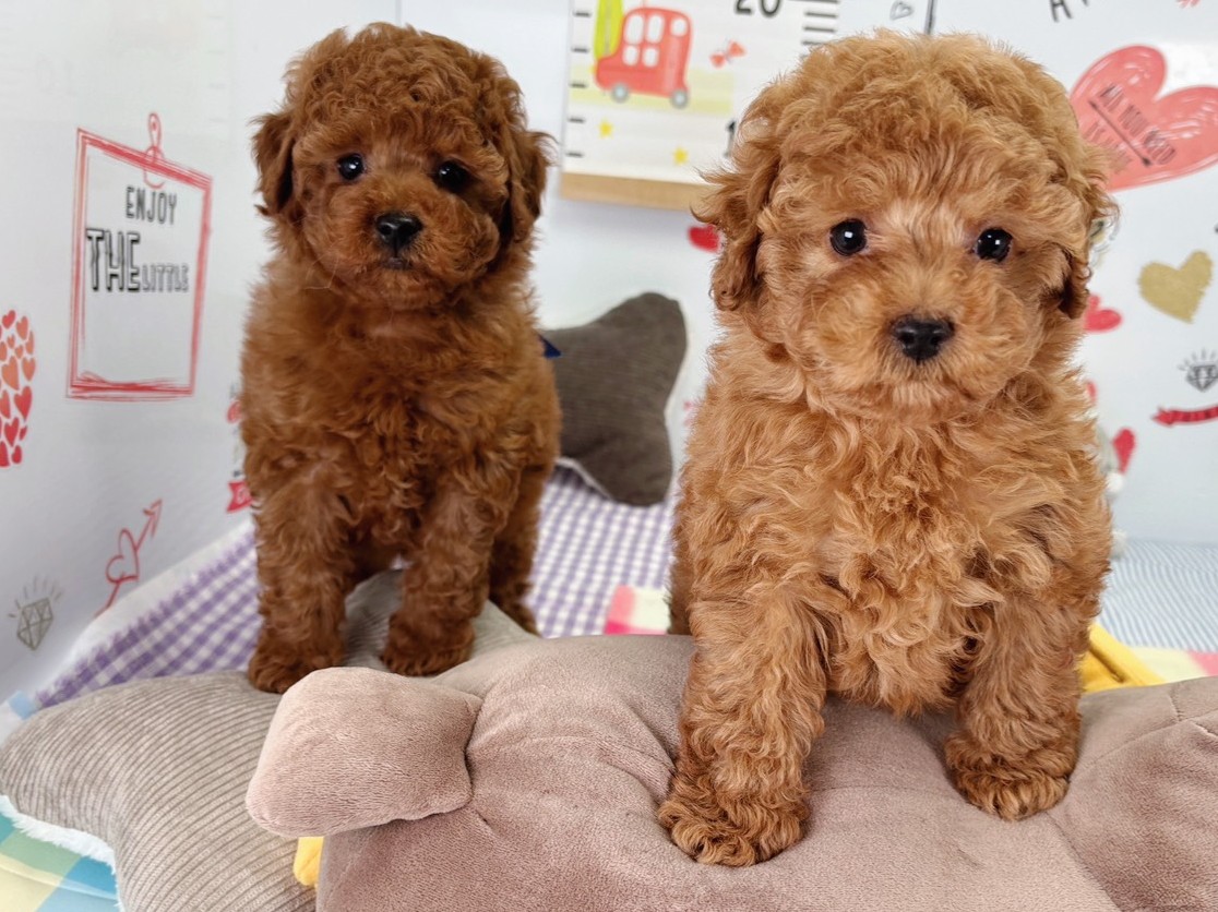 赤ちゃん写真2-3