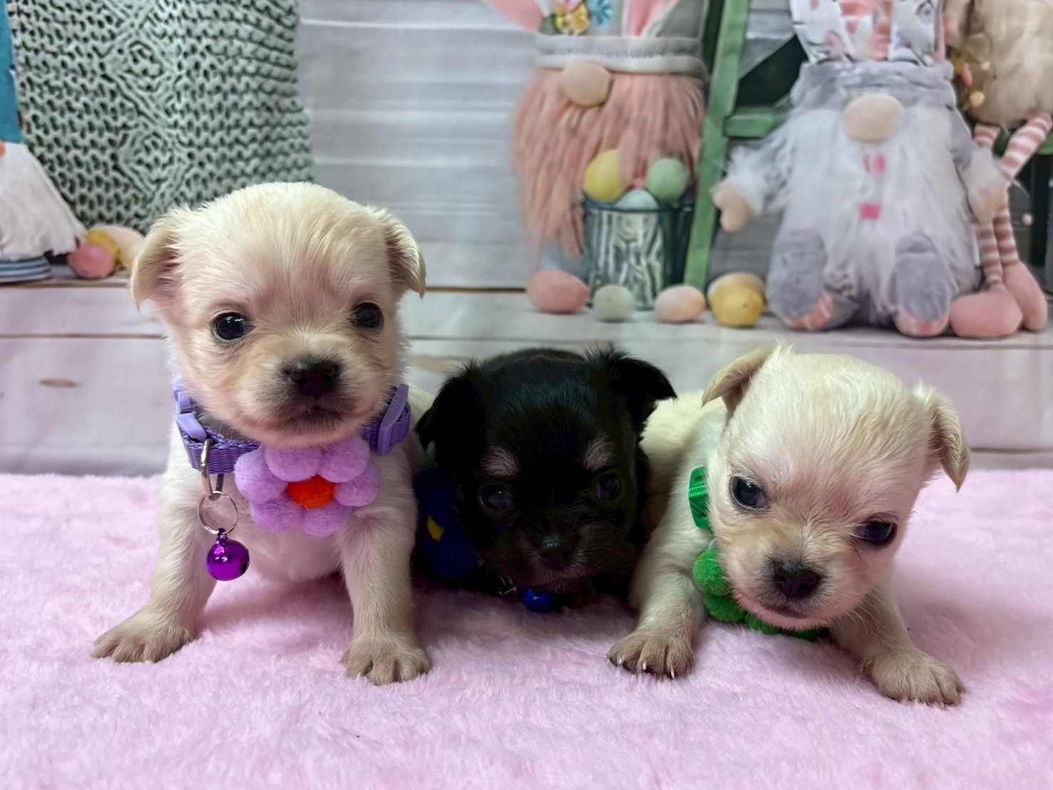 赤ちゃん写真2-3