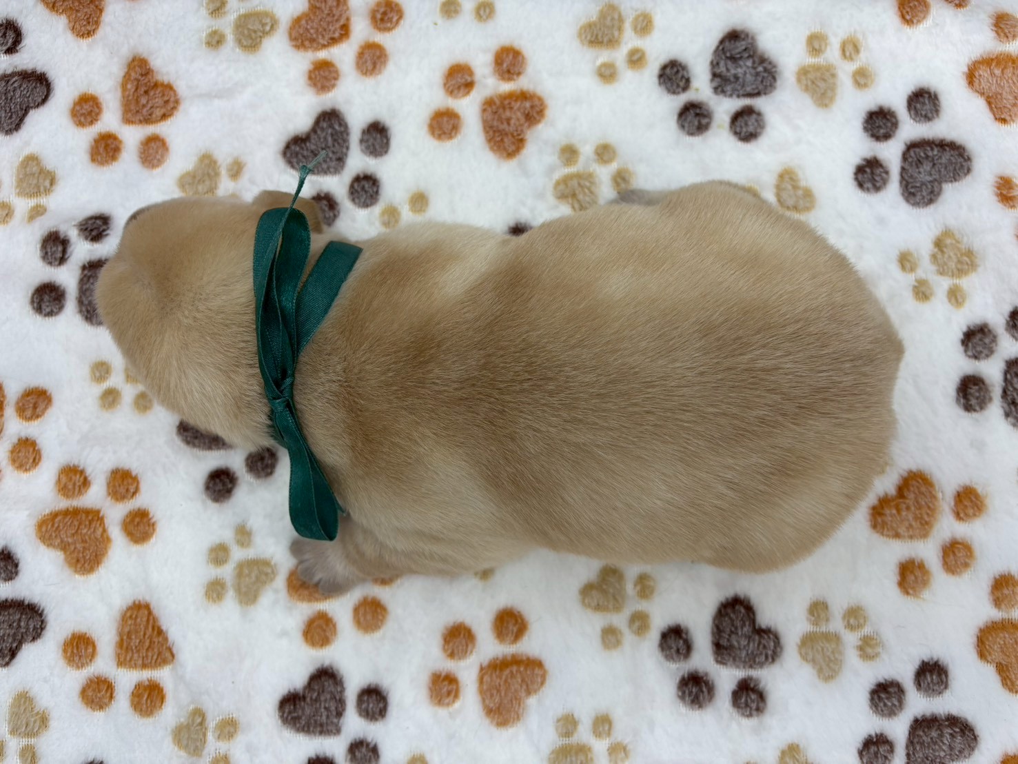 赤ちゃん写真1-3