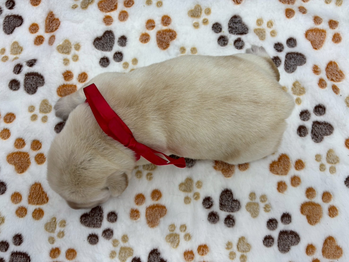 赤ちゃん写真1-3