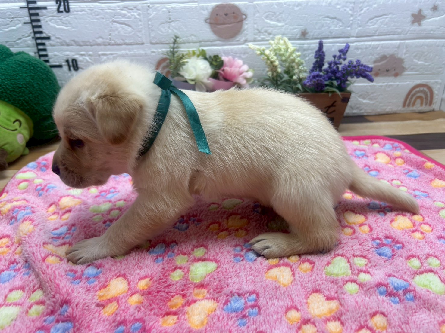 赤ちゃん写真2-2