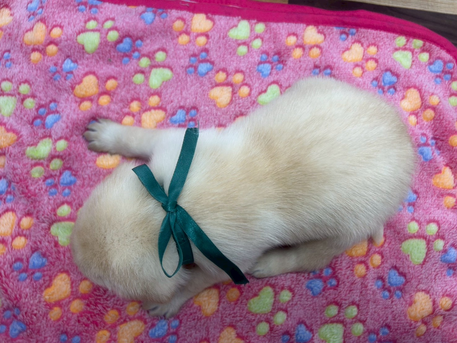 赤ちゃん写真2-3